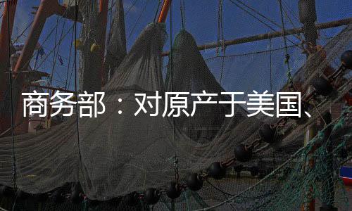 欧盟
、商务2024年5月19日
