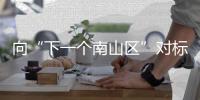 快排公司十年历程，霸屏兔 seo 的崛起与坚守