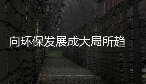 抢分市场“蛋糕”