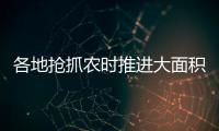 各地抢抓农时推进大面积单产提升	，持续夯实夏粮丰收基础