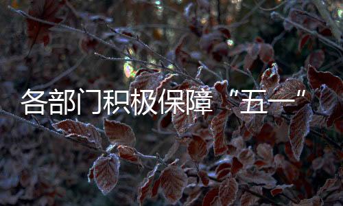 民航等部门坚守岗位