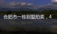 合肥市一栋别墅拍卖
，4人报名竞拍却以起拍价282万就成交了