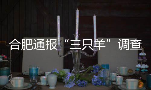 合肥已累计赔付2777.85万元