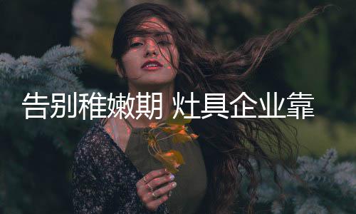 好的期灶产品
、曾经