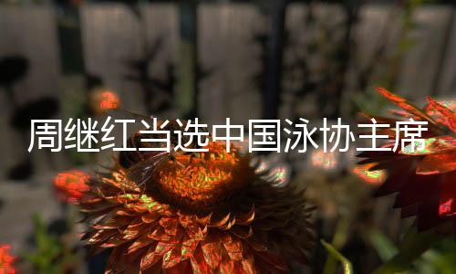 陈世虎、周继红表示