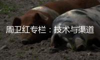快排公司十年历程，霸屏兔 seo 的崛起与坚守