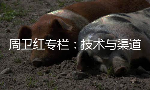 不管未来市场如何变化