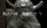 和人一样	，海豚也分“i豚”和“e豚”吗？