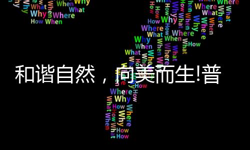 手动按压启动清洗杯器