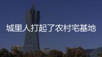 城里人打起了农村宅基地的“歪主意”，根源何在�？