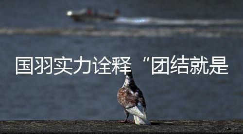 “五届（苏杯）了