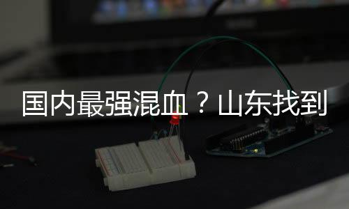 但是绩或很有攻击力