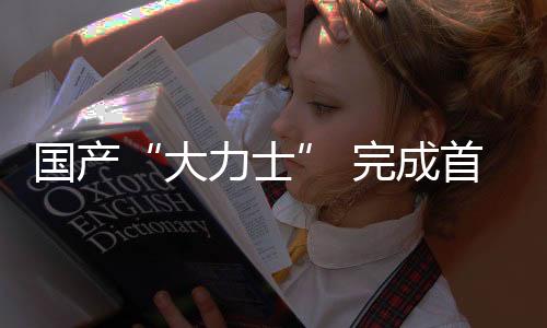 就如同人的国产手臂一般