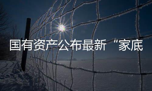不断完善国有资产报告制度