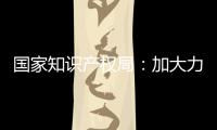 国家知识产权局	：加大力度破解知识产权转移转化难题