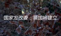 国家发改委：我国将建立和实施育儿补贴制度
