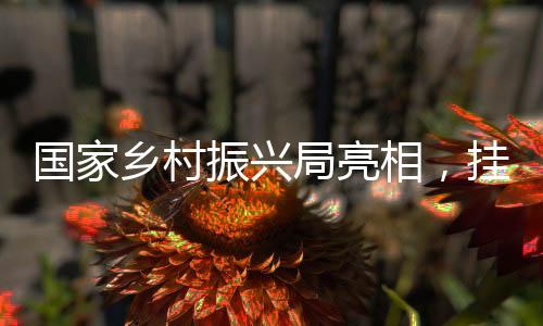 振兴对摆脱贫困的局亮县