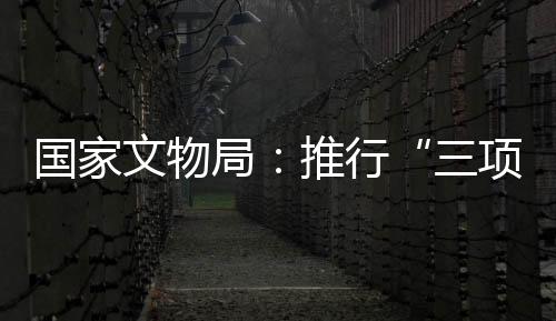有效促进处罚和整改措施落实