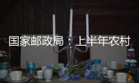 国家邮政局：上半年农村地区快递收投量超200亿件 乡镇网点覆盖率达98%