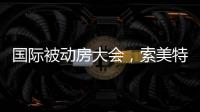 国际被动房大会，索美特阳光房精彩纷呈