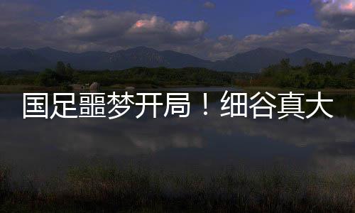 开局久尔杰维奇决定变阵