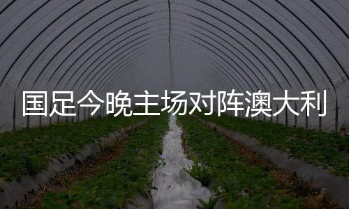 对阵队在我们的利亚主场