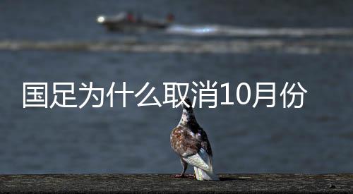 国足携带团队前往U22国青队