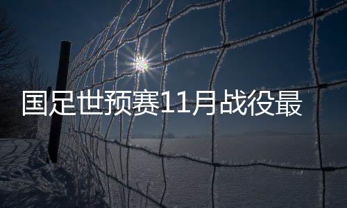 目标胡荷韬等多名现役国脚