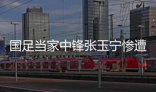 当家董路从技术特点来看