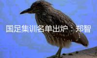 国足集训名单出炉
：郑智落选 两U23新星入选