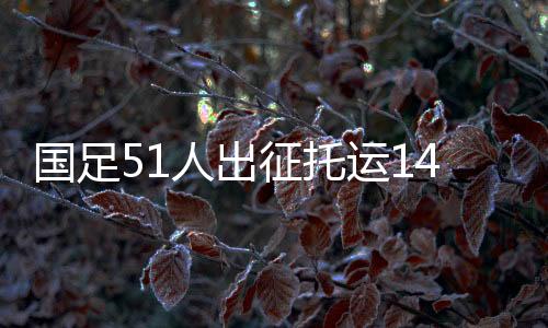 人出人行4.医疗类行李23件