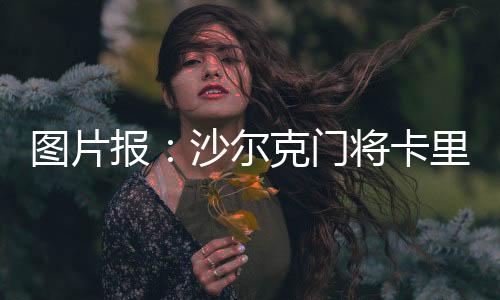 报沙本周原本的尔克希望是