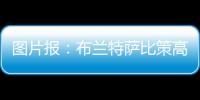 快排公司十年历程，霸屏兔 seo 的崛起与坚守