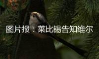 图片报：莱比锡告知维尔纳将不再上场，唯一下家或为纽约红牛