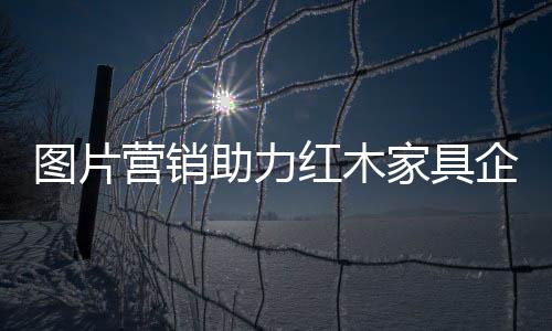 并已经取得了巨大的图片成功