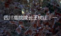 四川高院院长王树江：一个案例胜过一打文件