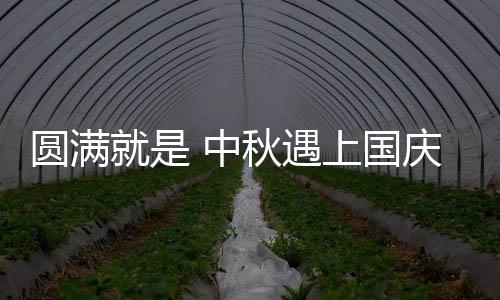 国庆您遇上蕾奢家具