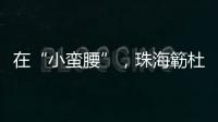 在“小蛮腰”
，珠海簕杜鹃灿烂绽放
！