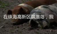 在珠海高新区淇澳岛�，我为全运种棵树