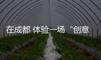 快排公司十年历程，霸屏兔 seo 的崛起与坚守