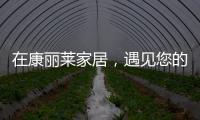 在康丽莱家居
，遇见您的专属床垫