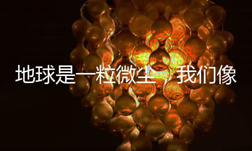 很乖
、地球有只黑猫