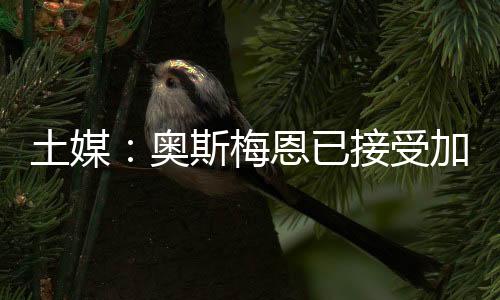 正式商讨转会费问题
