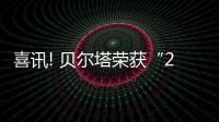 快排公司十年历程，霸屏兔 seo 的崛起与坚守