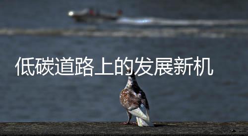 厨房橱柜企业唯有从自身着手