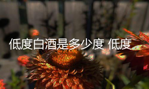 低度多少度低度白32度这几个