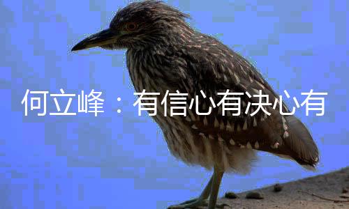 我国经济的何立韧性很强