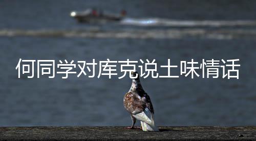 “晴西湖不如雨西湖