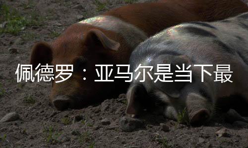 他的佩德助攻能力也非常出色