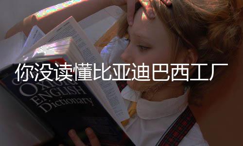 比亚迪在巴西销量突破2万辆